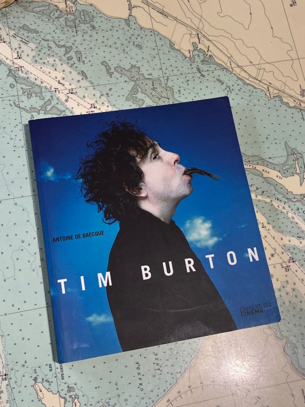 Tim Burton by Antoine De Baecque Softcover Book French